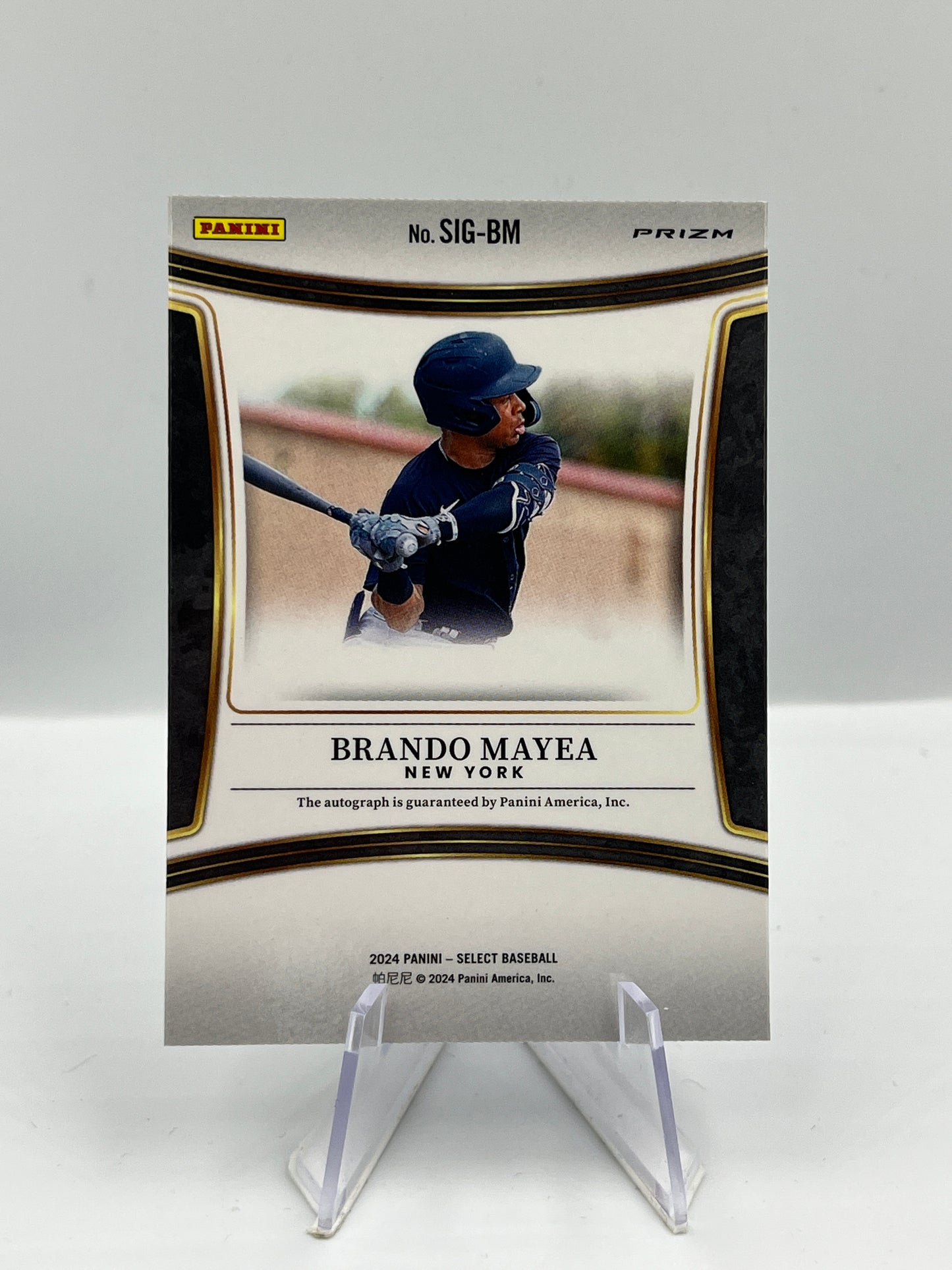 Brando Mayea - New York Yankees - Signatures Autograph - #SIG-BM