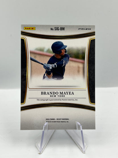 Brando Mayea - New York Yankees - Signatures Autograph - #SIG-BM